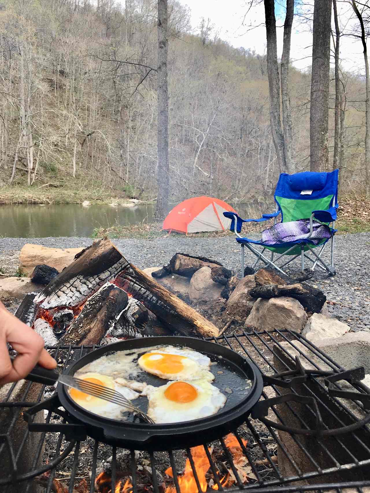 The Byrd's Nest on the River