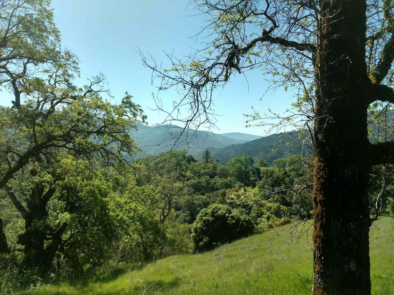 Site 3.