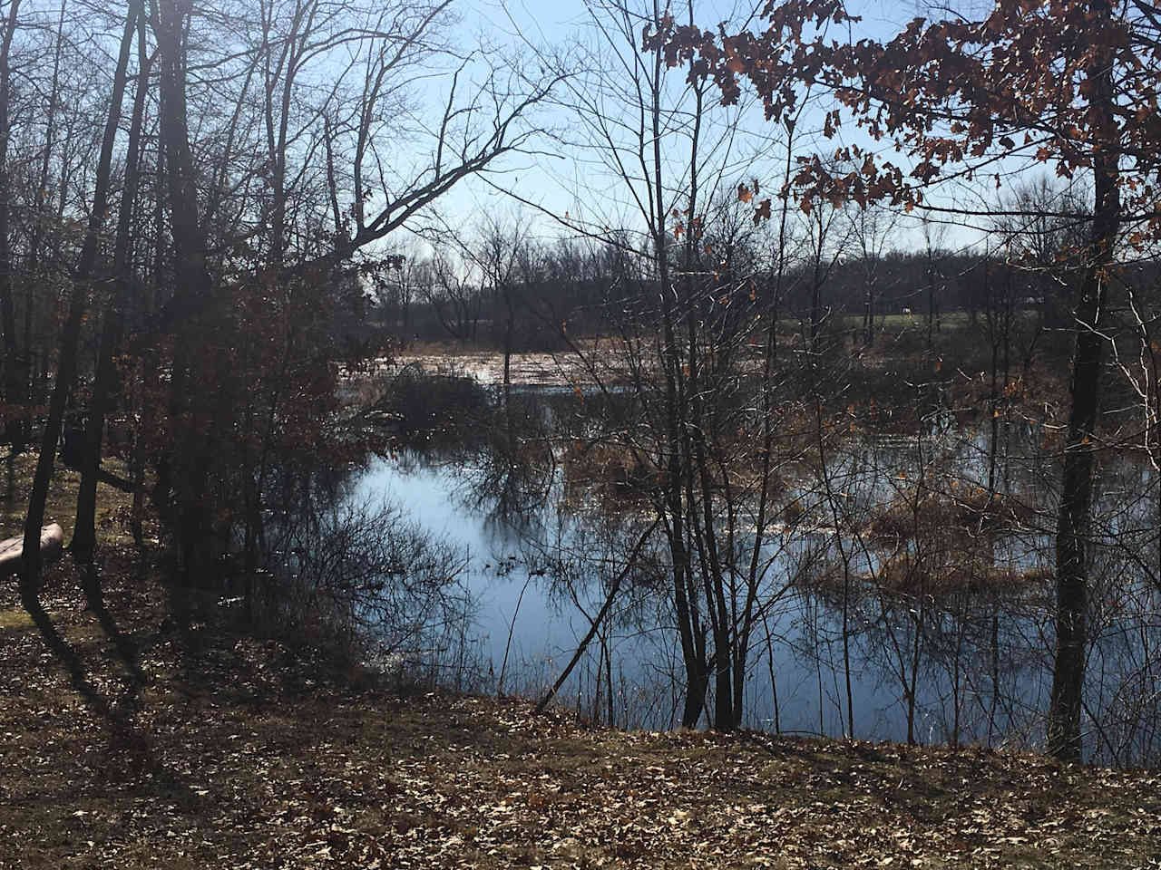 This is a view of the channel. Of course this is in the spring when we have an abundance of water. The little channel doesn’t always look like this. All depends on the water level