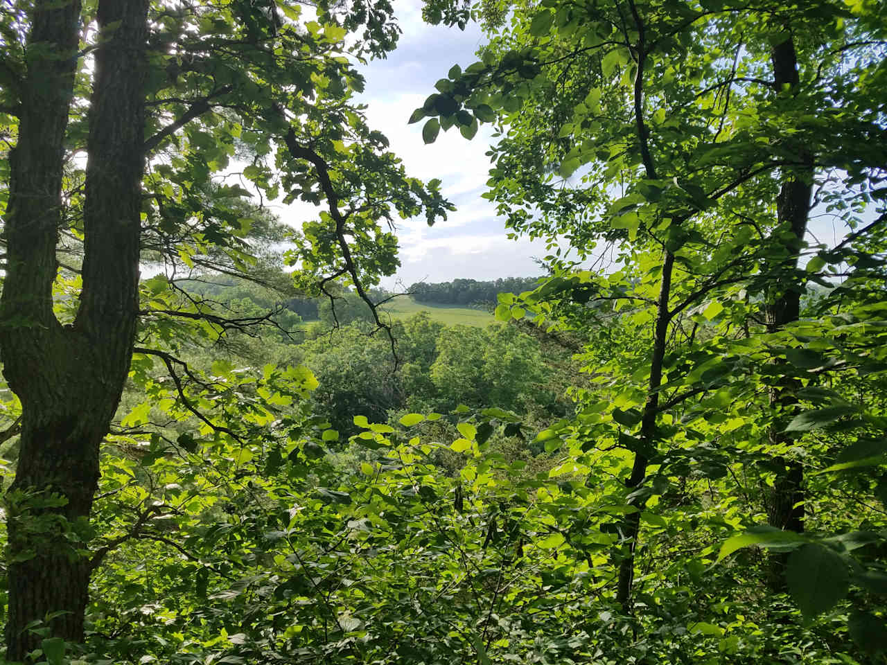 View from the bluff