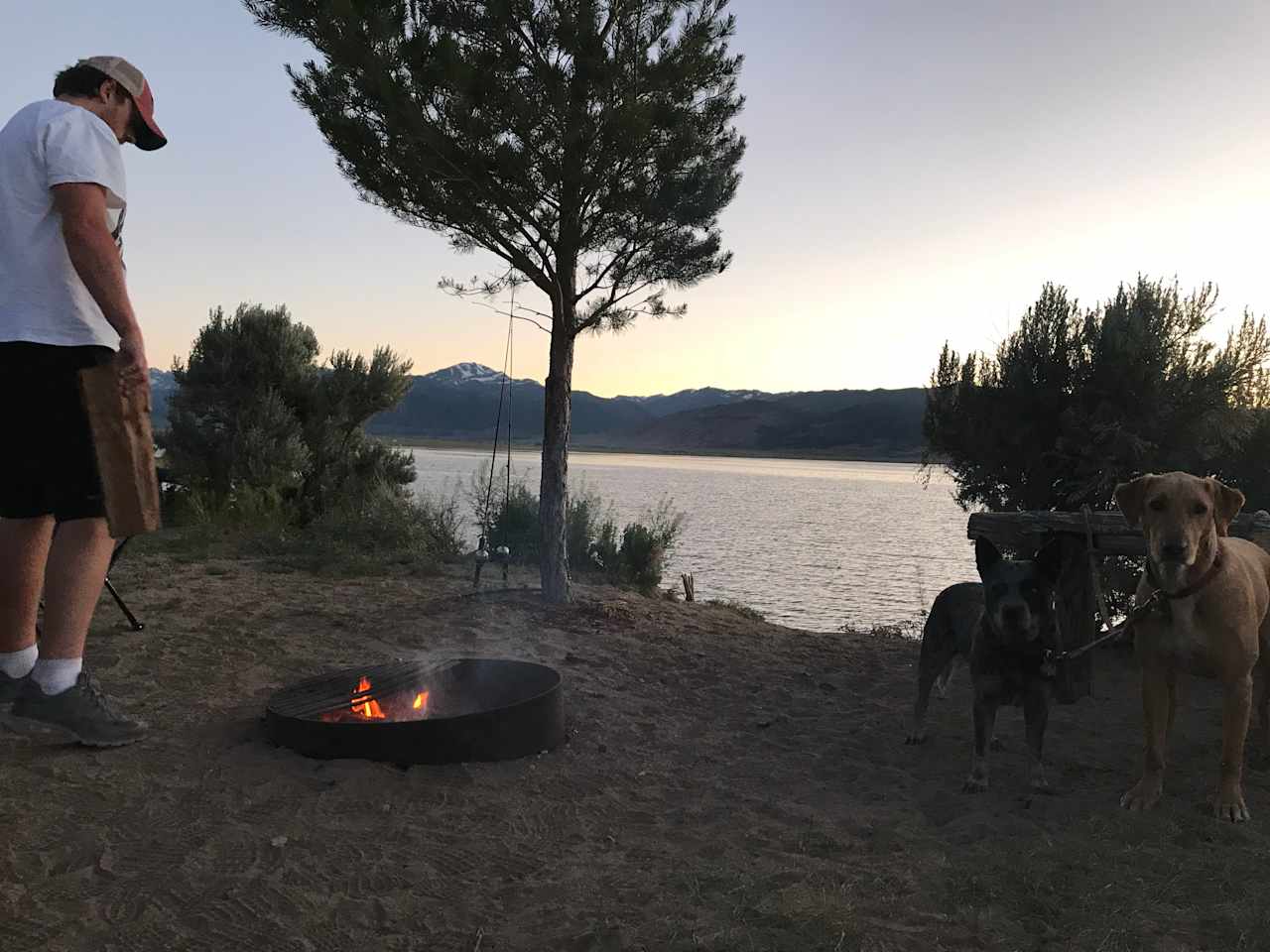 Site 5