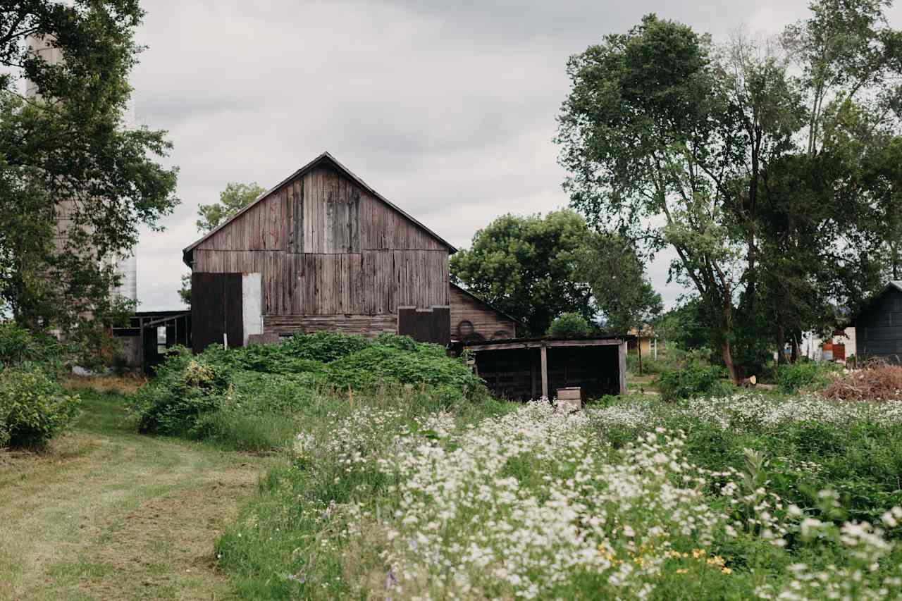 The barn and surrounding fields.