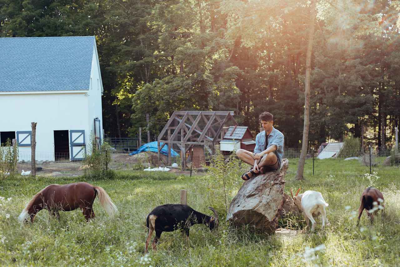 Making new friends on the farm