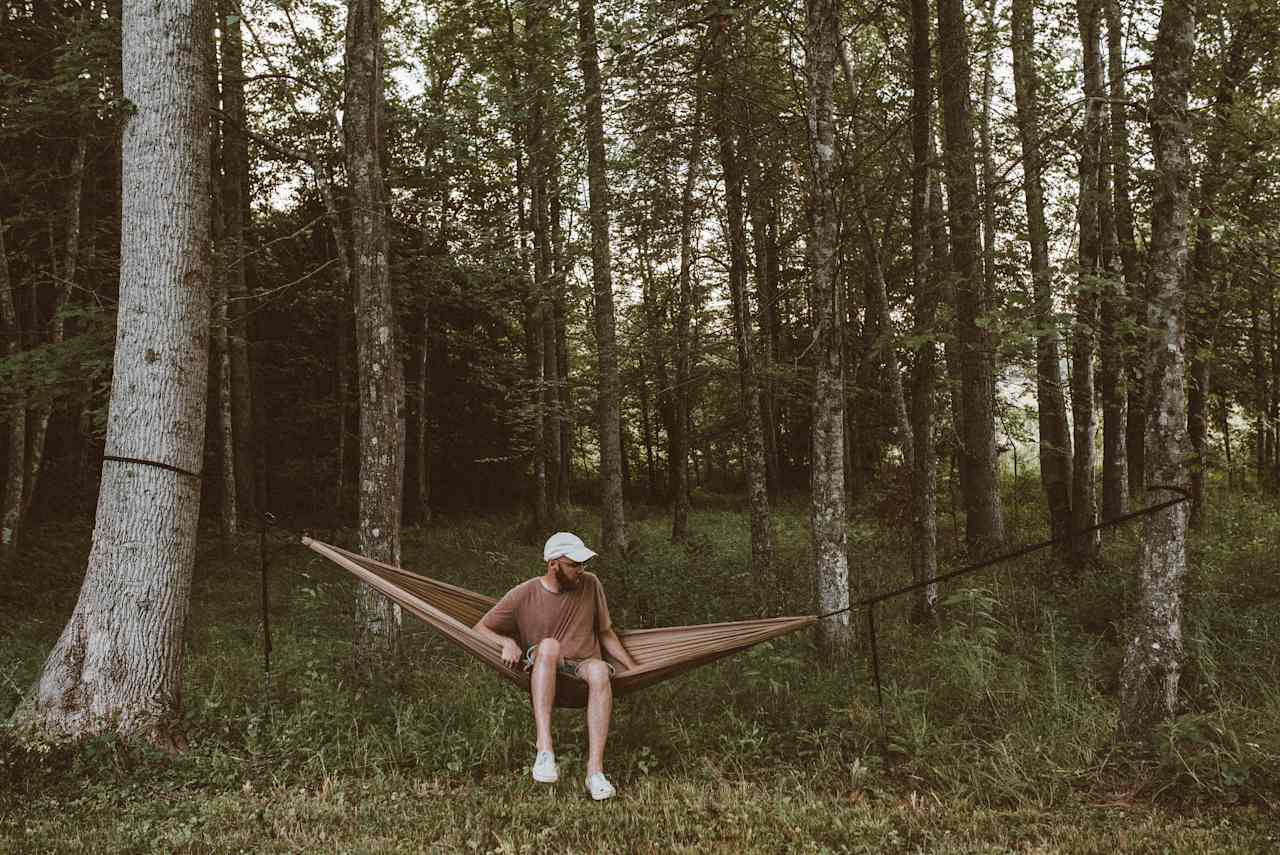 Little grove of trees was a perfect place to set up the hammock.
