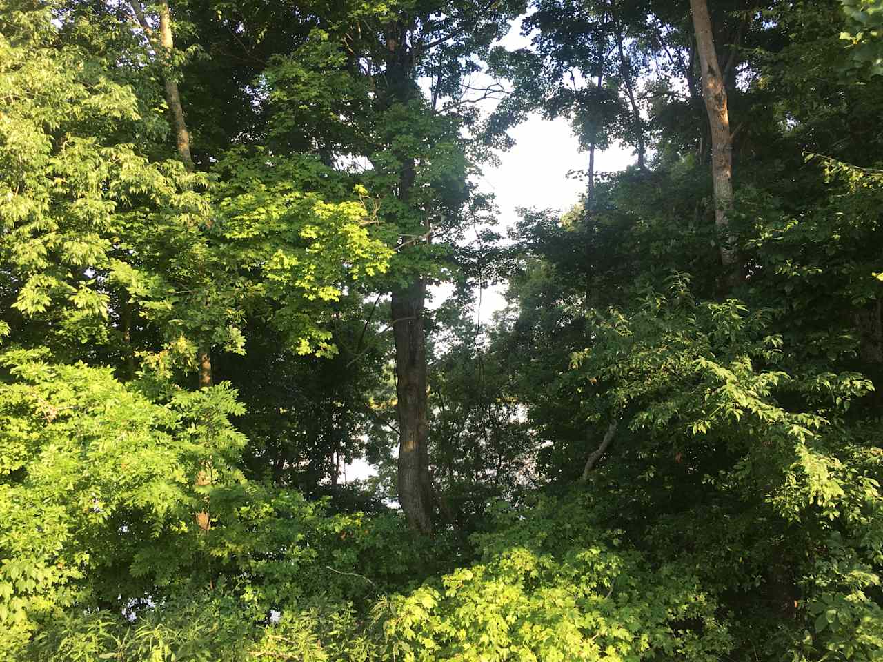 View of the water from camp site 1