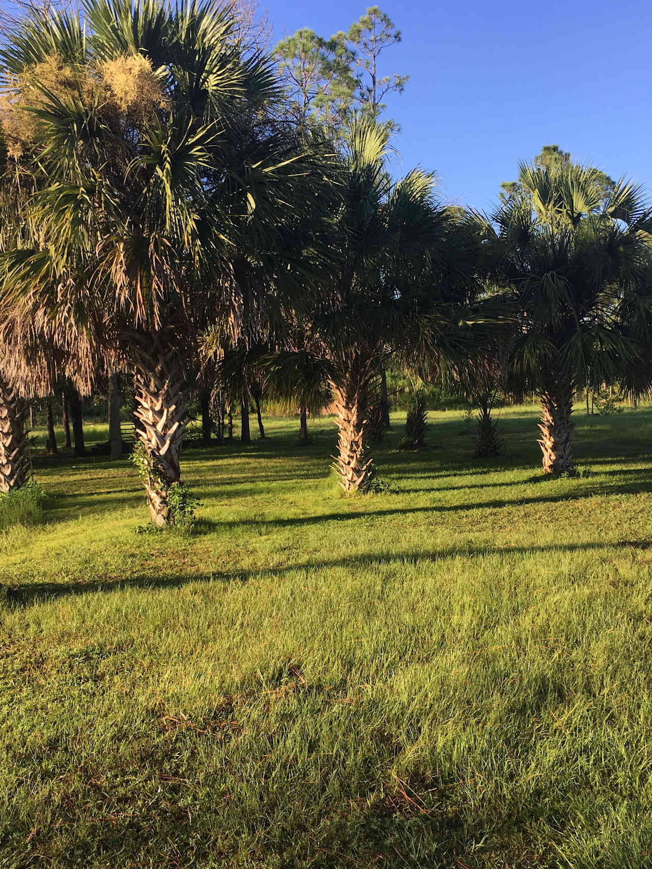 Paradise Ranch