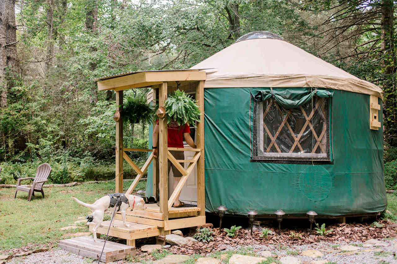 Welcome to the yurt!