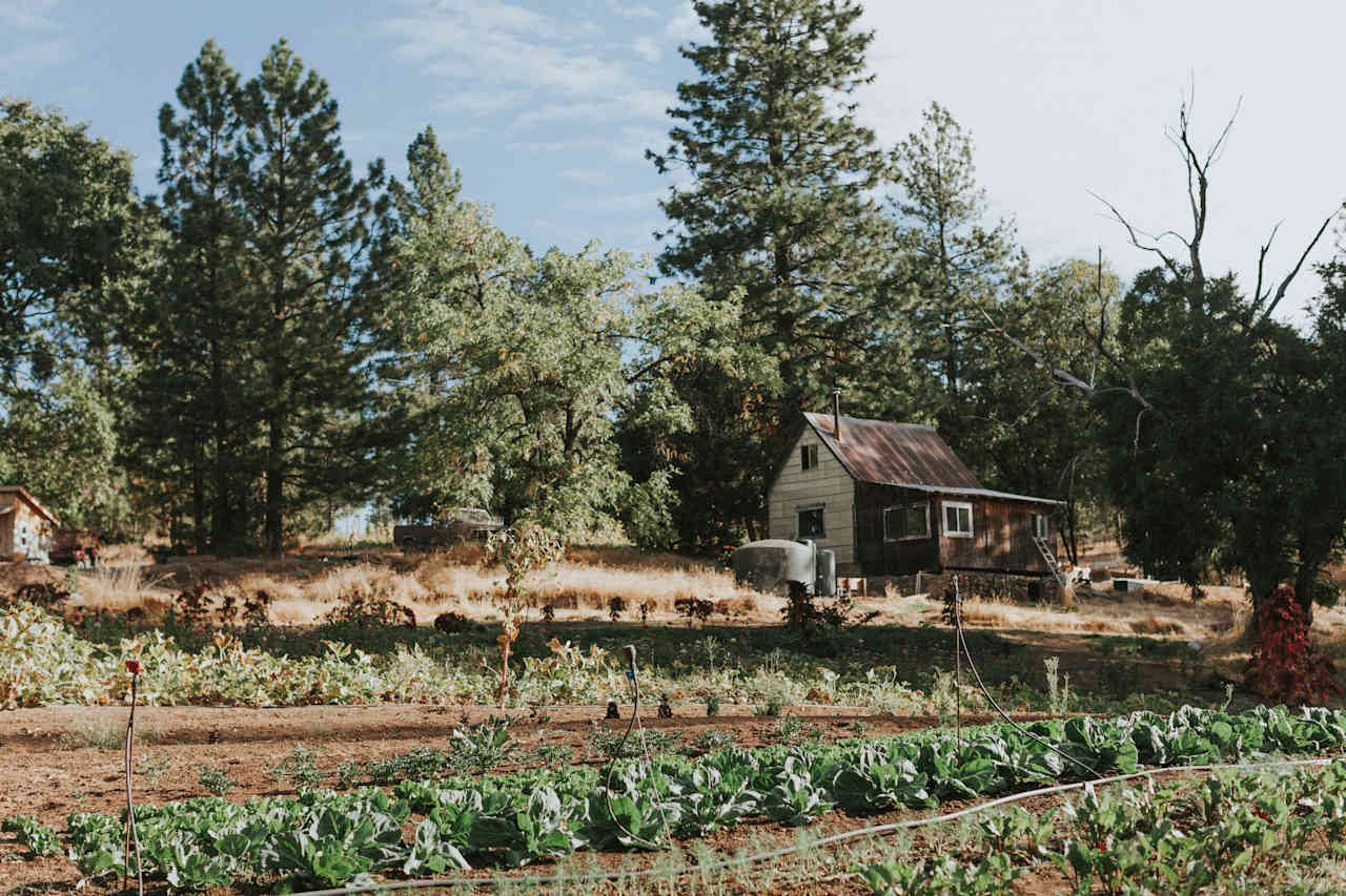 Cabin on the farm