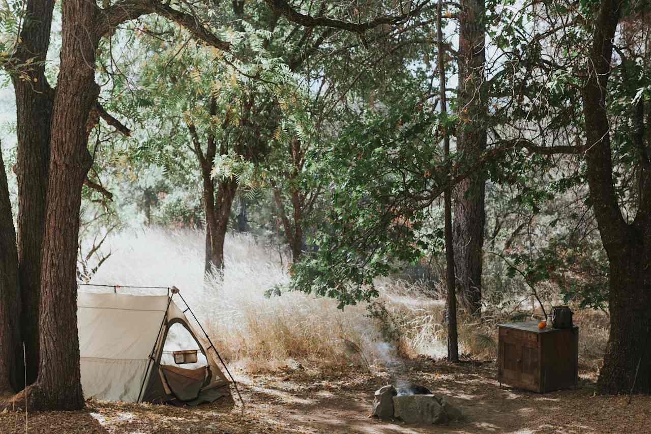 Campsite