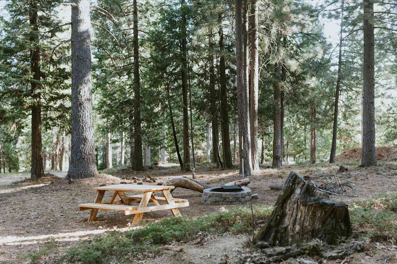 Picnic / campfire area