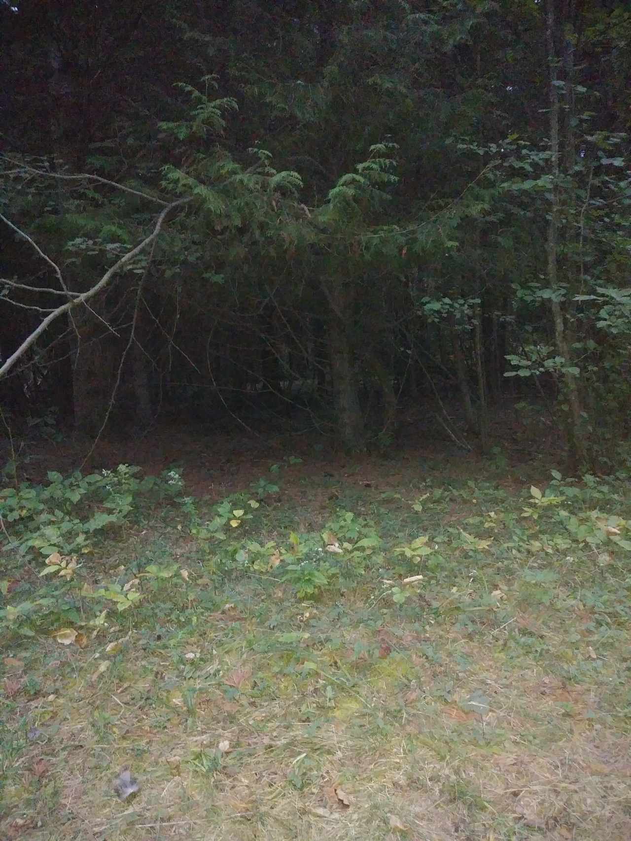 Dave's Island Hideaway