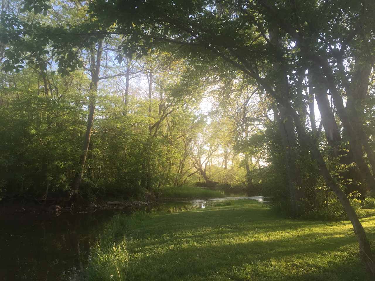 Views from around the property