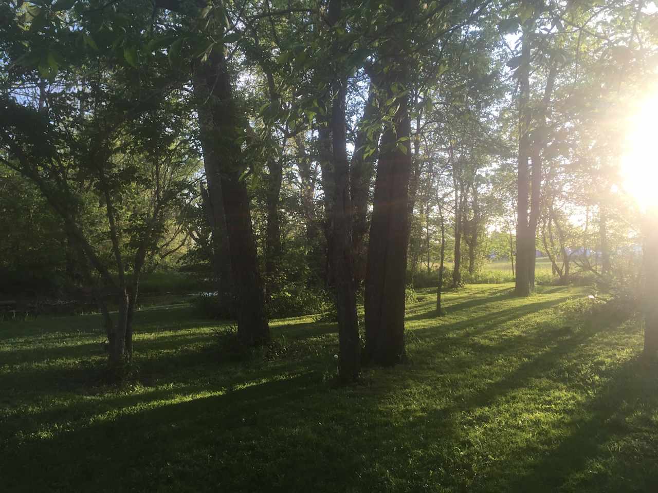 Views from around the property