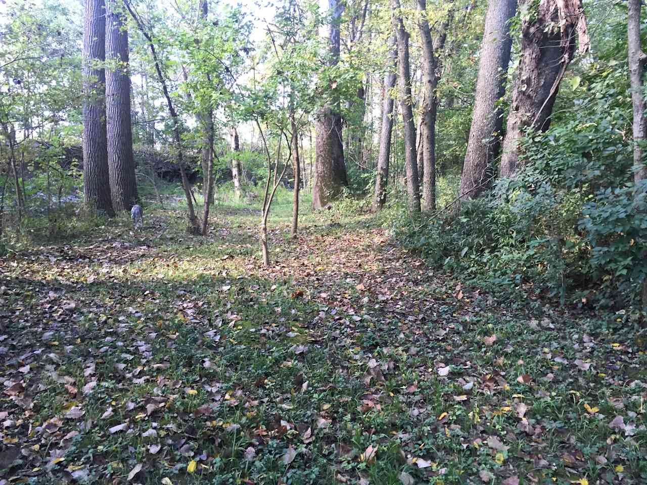 Views from around the property