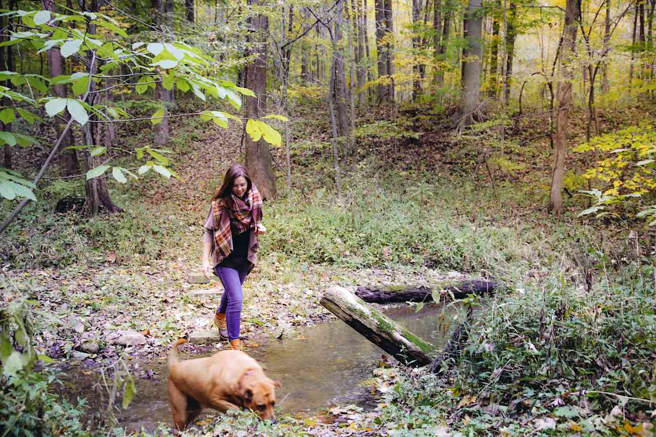 Grins & Pickin's CampFarm