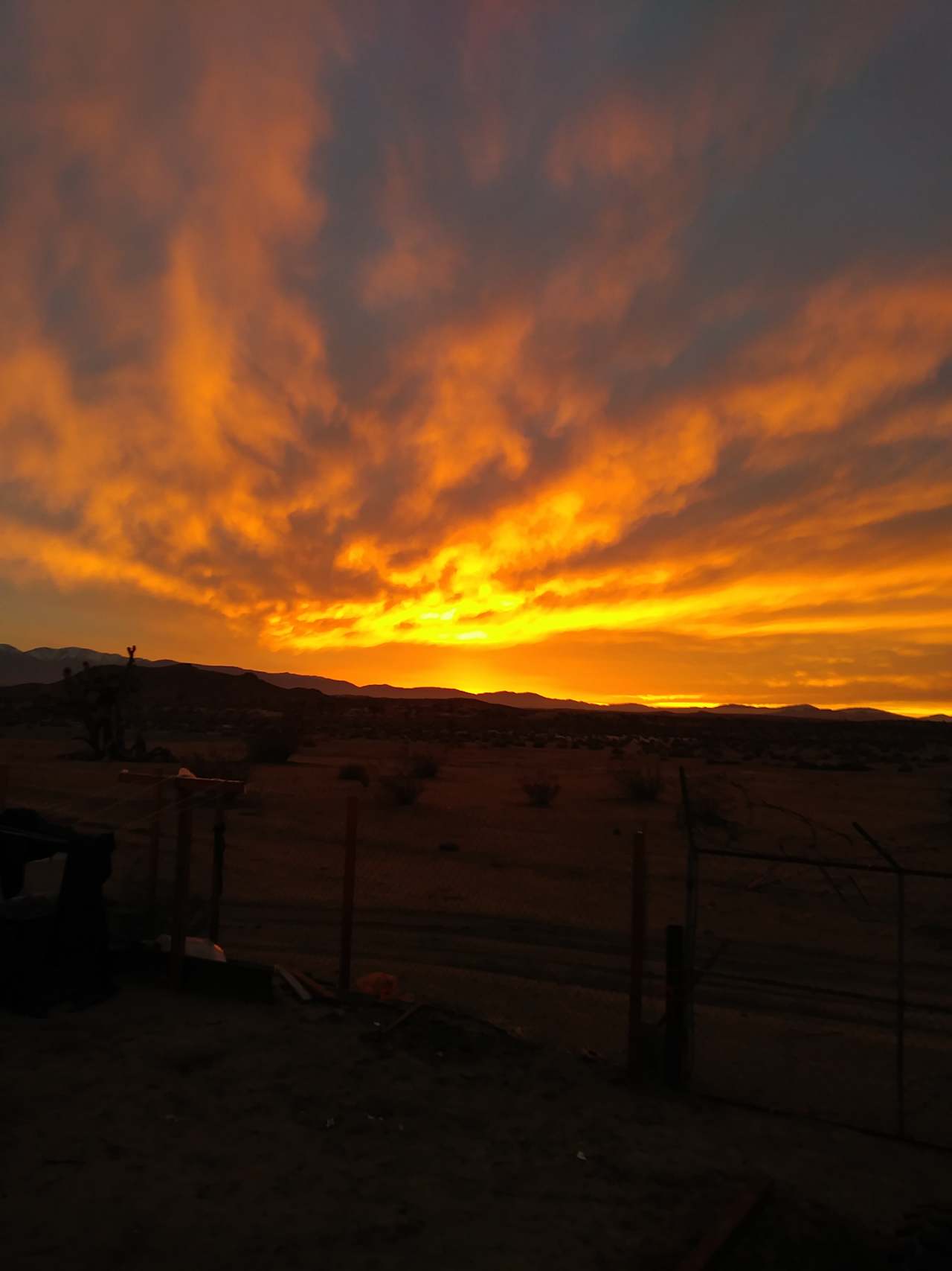 Some of our sunsets.
