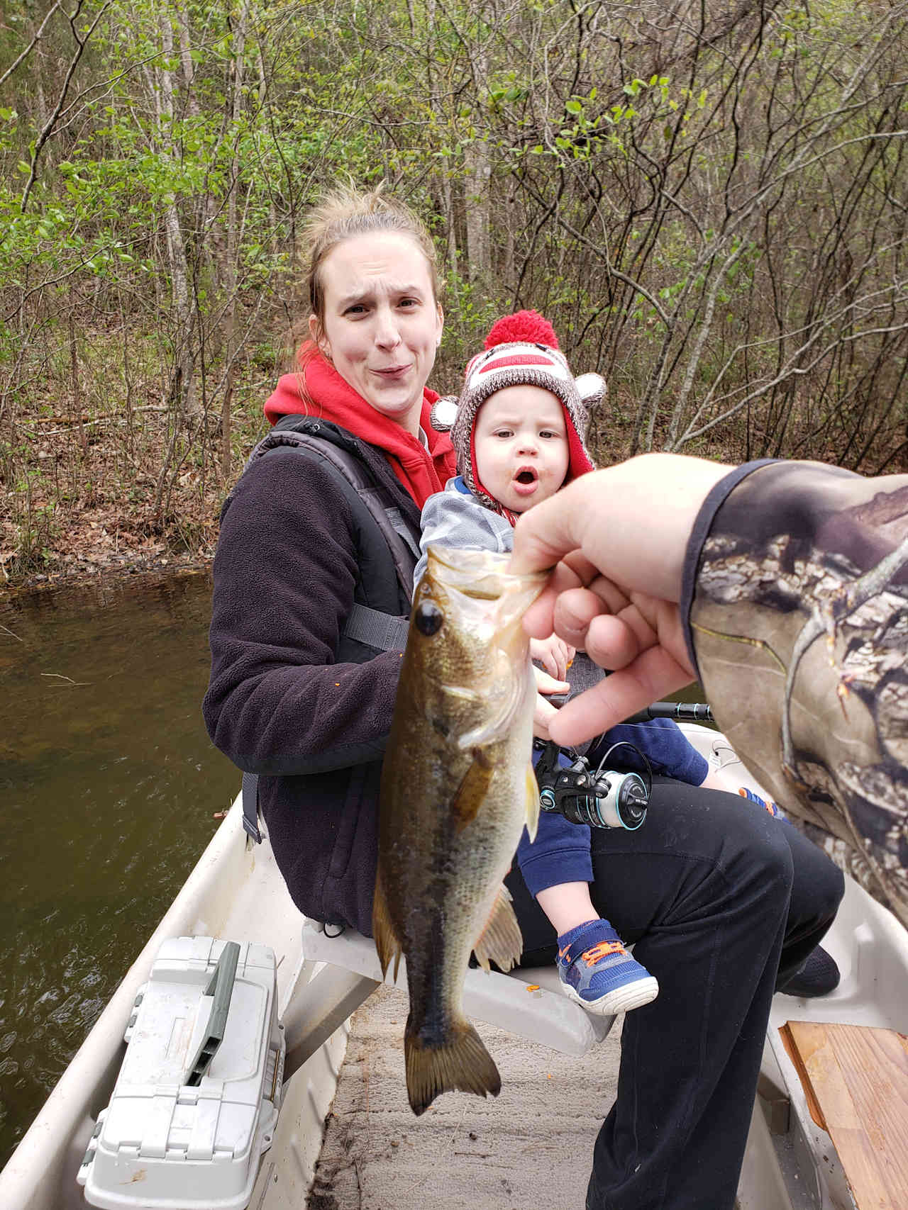 Murchison Farm's Primitive Camping