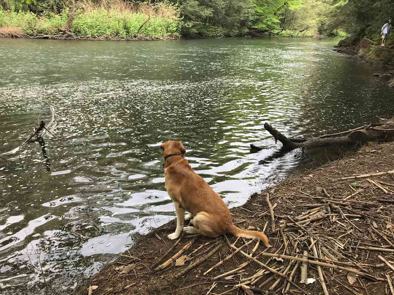 Peace & Quiet by the River!