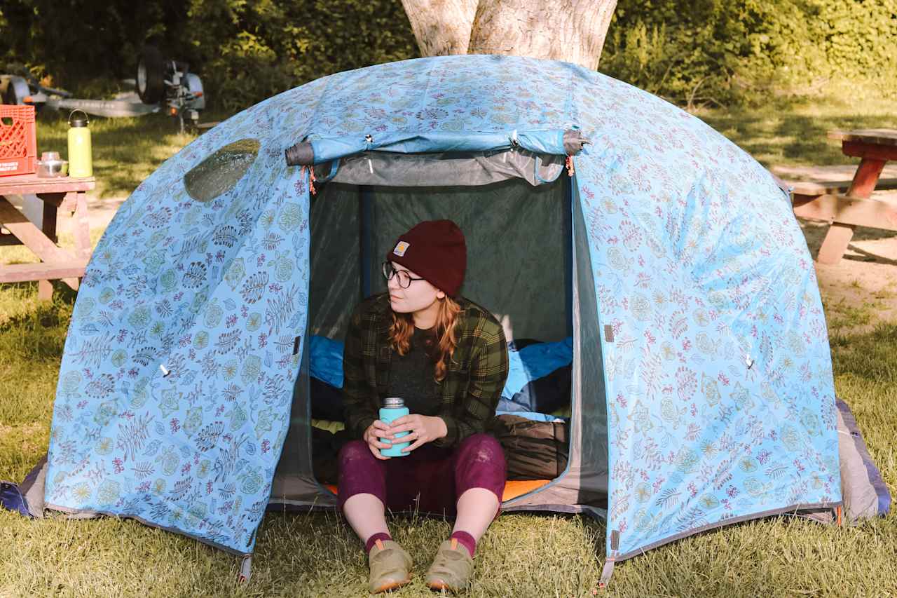 Morning coffee under the walnut tree 
