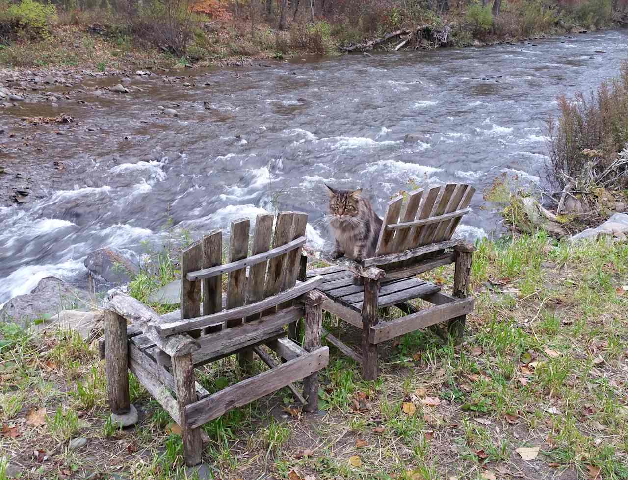 Creekside overlook