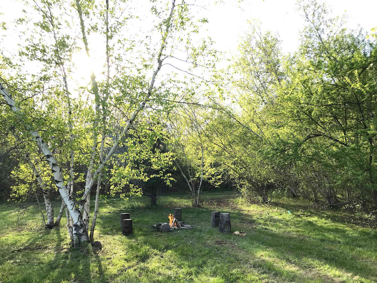 Birch Camp fireplace