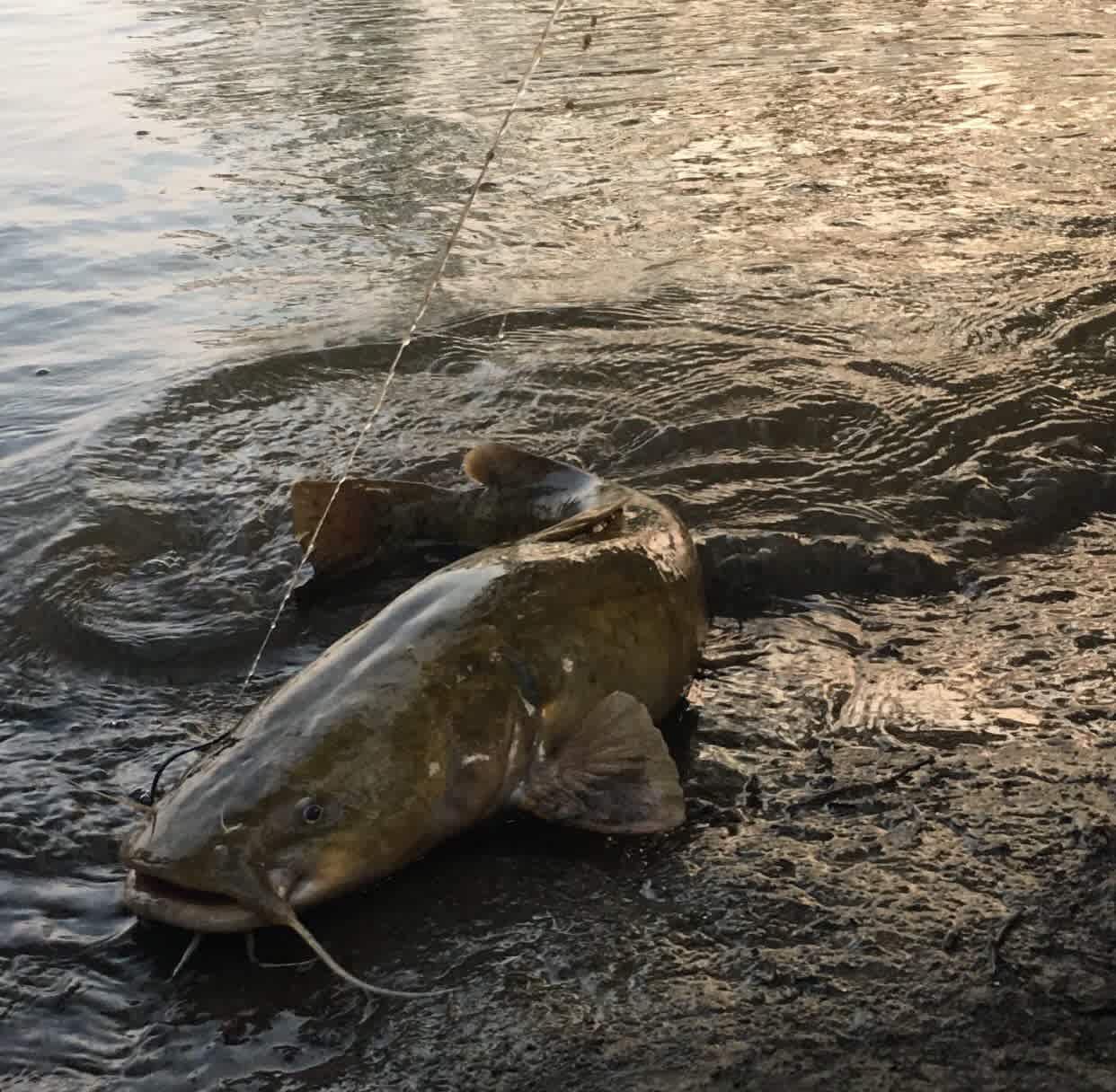 River Rock Recreation