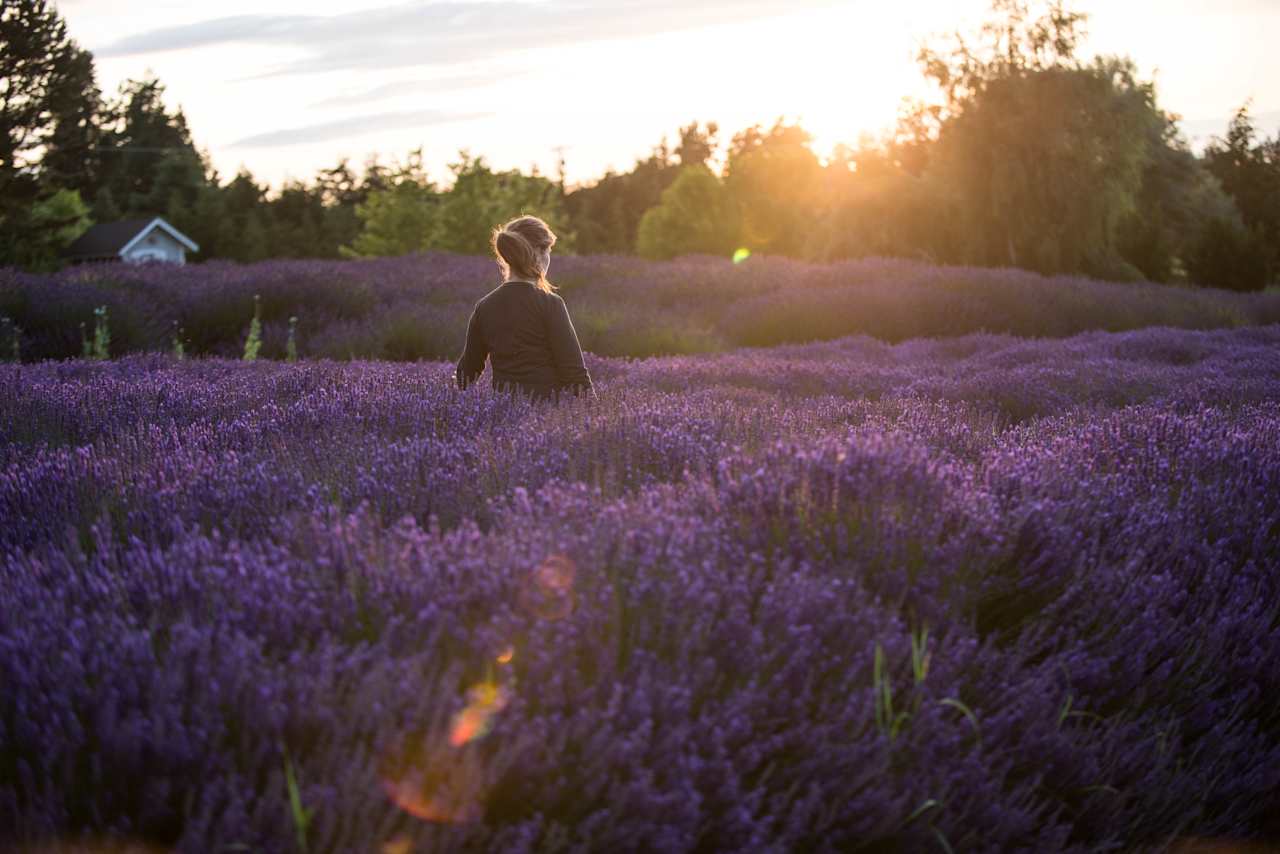 It was magical being surrounded by so much fragrance and beauty 
