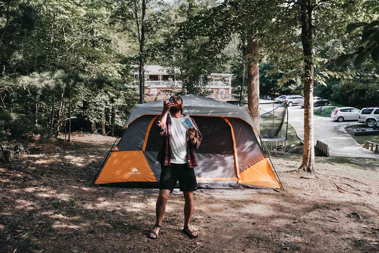 Catching peanuts at one of the tent sites in the trees.