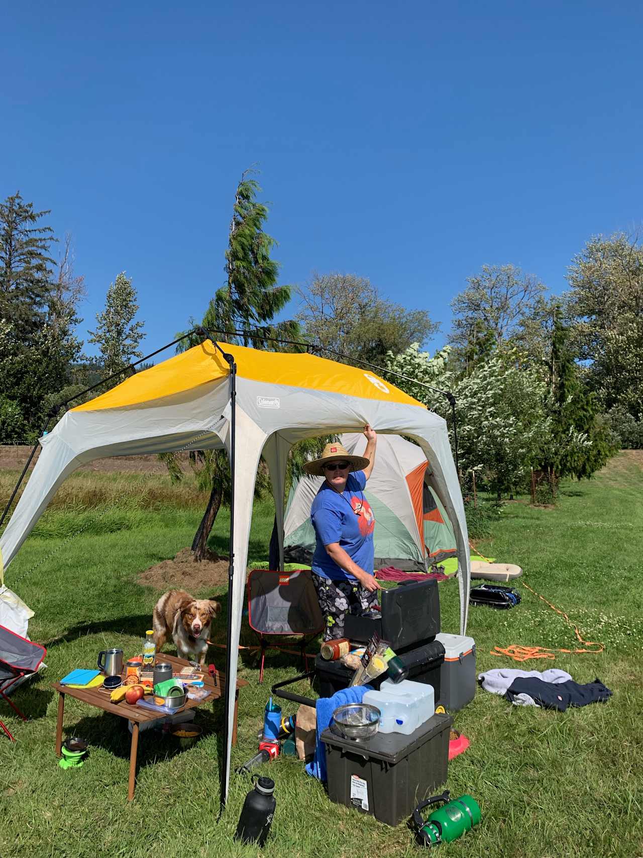 Bring a pop up for some midday shade, or a rain cloud it is the PNW