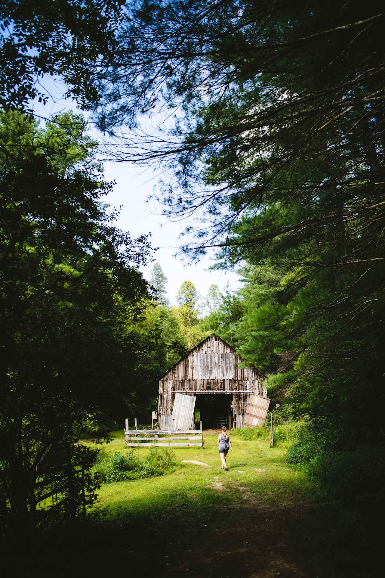 A walk through the woods ends at an old barn.