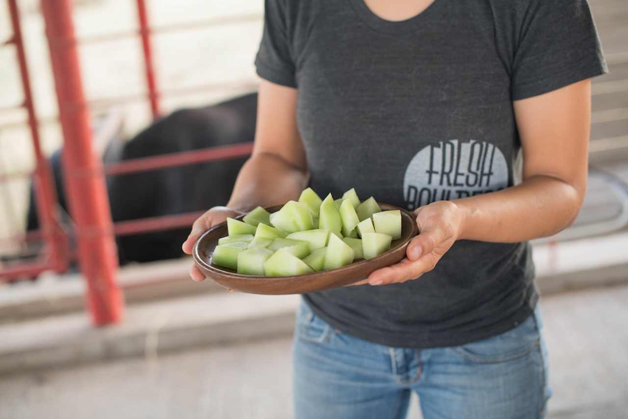 Gary was nice enough to share some fresh garden honeydew with us