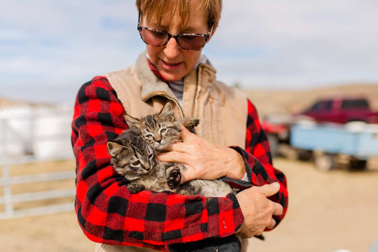 The owner, Terri and some of her adorable kittens :)