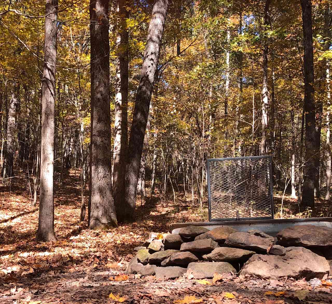 Private Forest Campsite