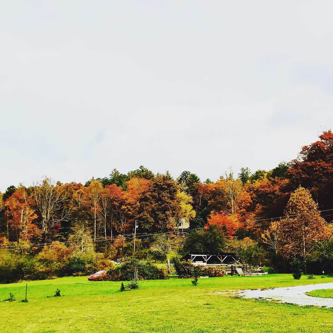 Fall color at PFMM