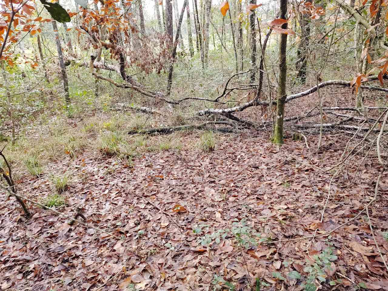 One of our more secluded spots.