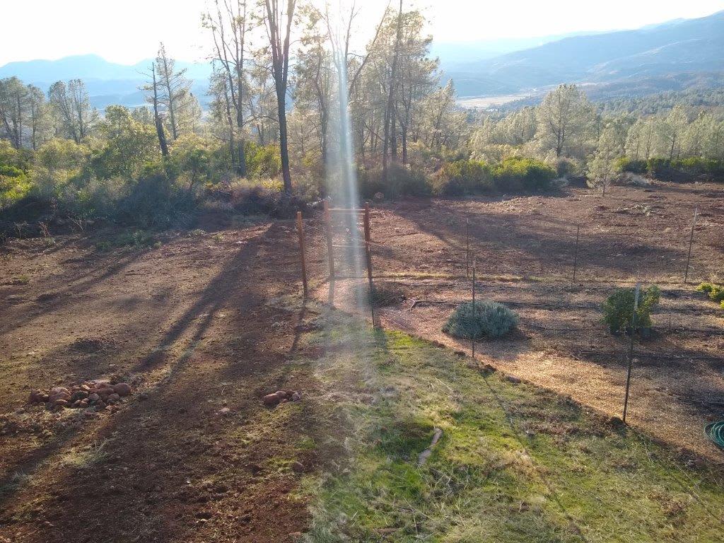 Garden View from Sundeck