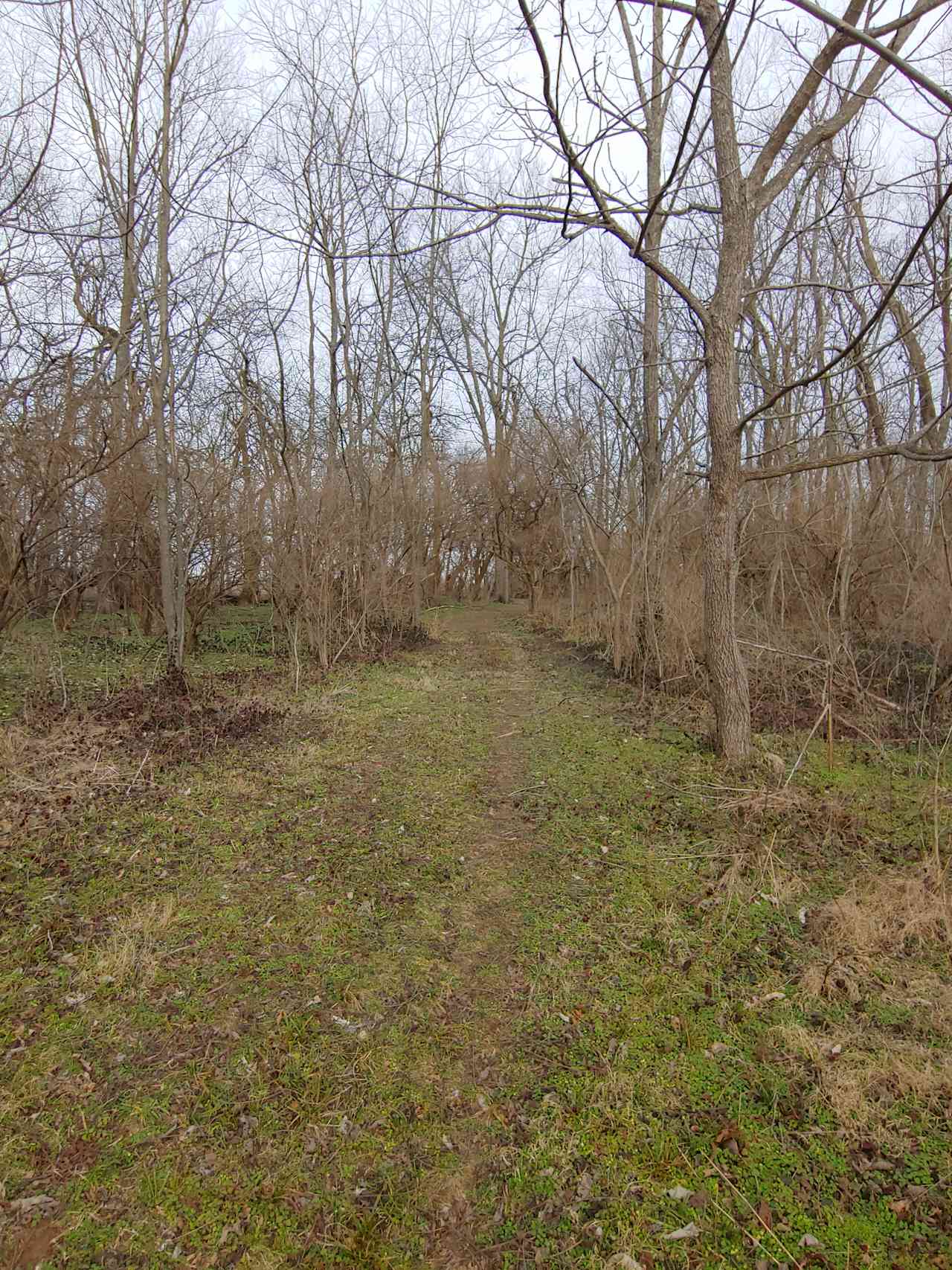 Hiking trail.