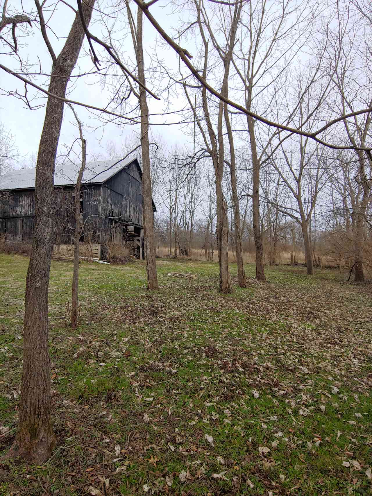 Campsite with fire ring, accessed by car or short hike. Can accommodate up to four tents, and hammocks.
