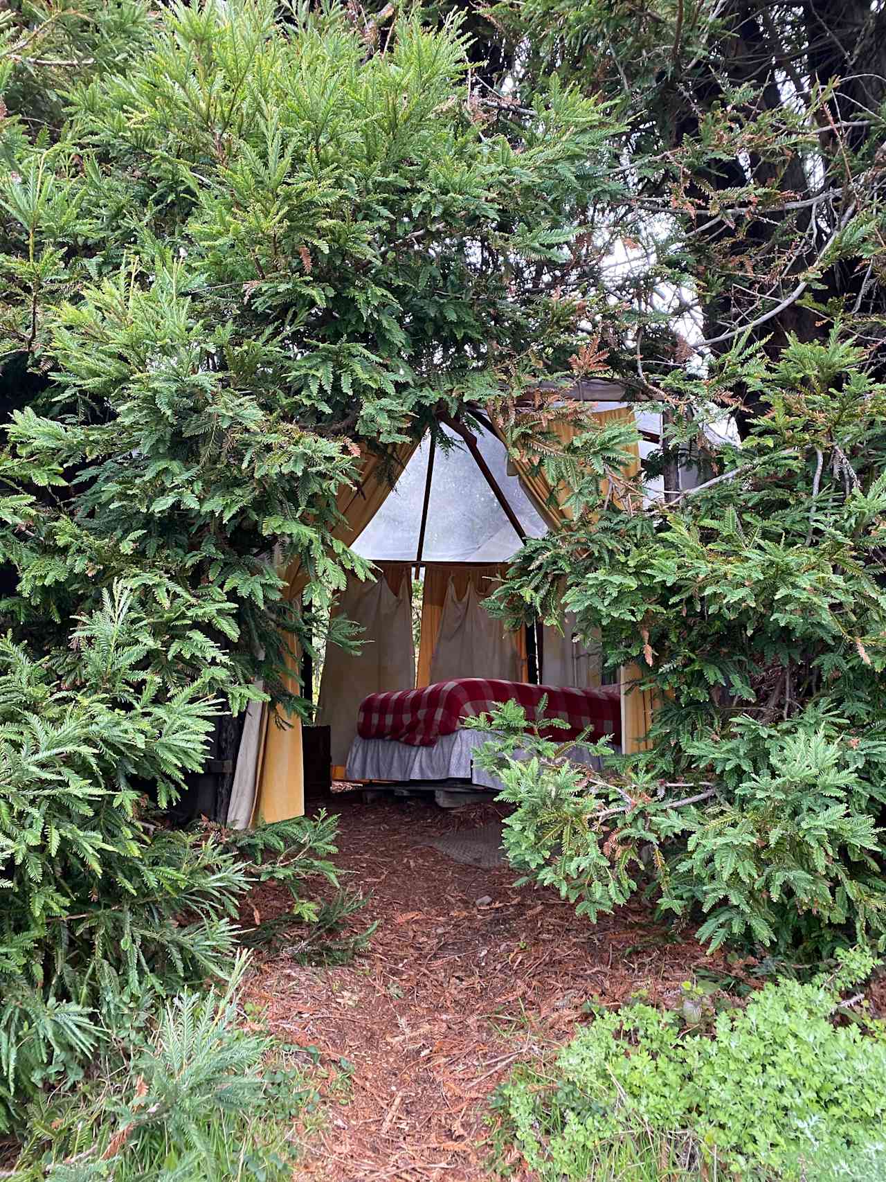 dabudage Big Sur
