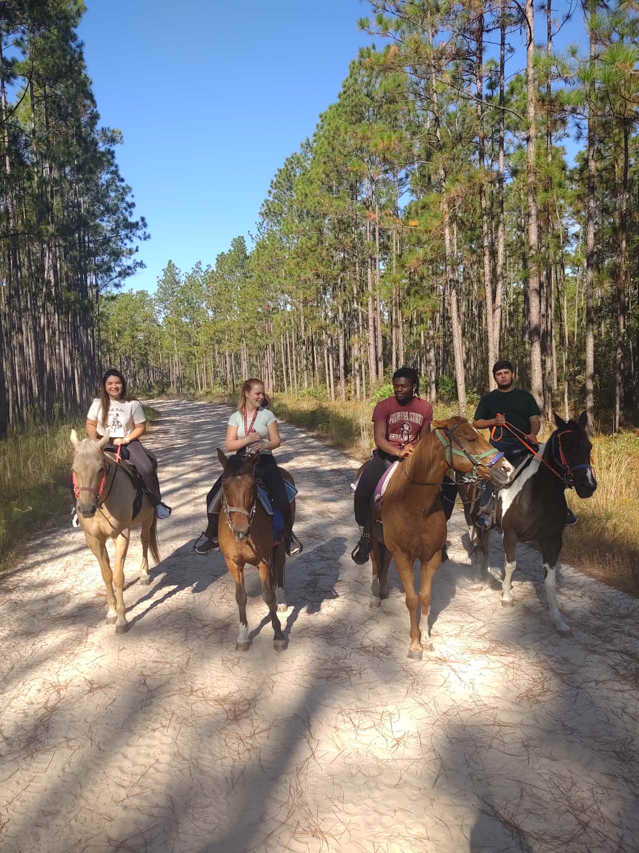 Crazy 8 Ranch & 4 Steps Horse Rescue