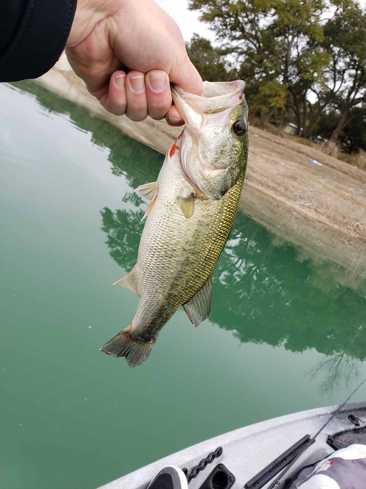 Caught a few!