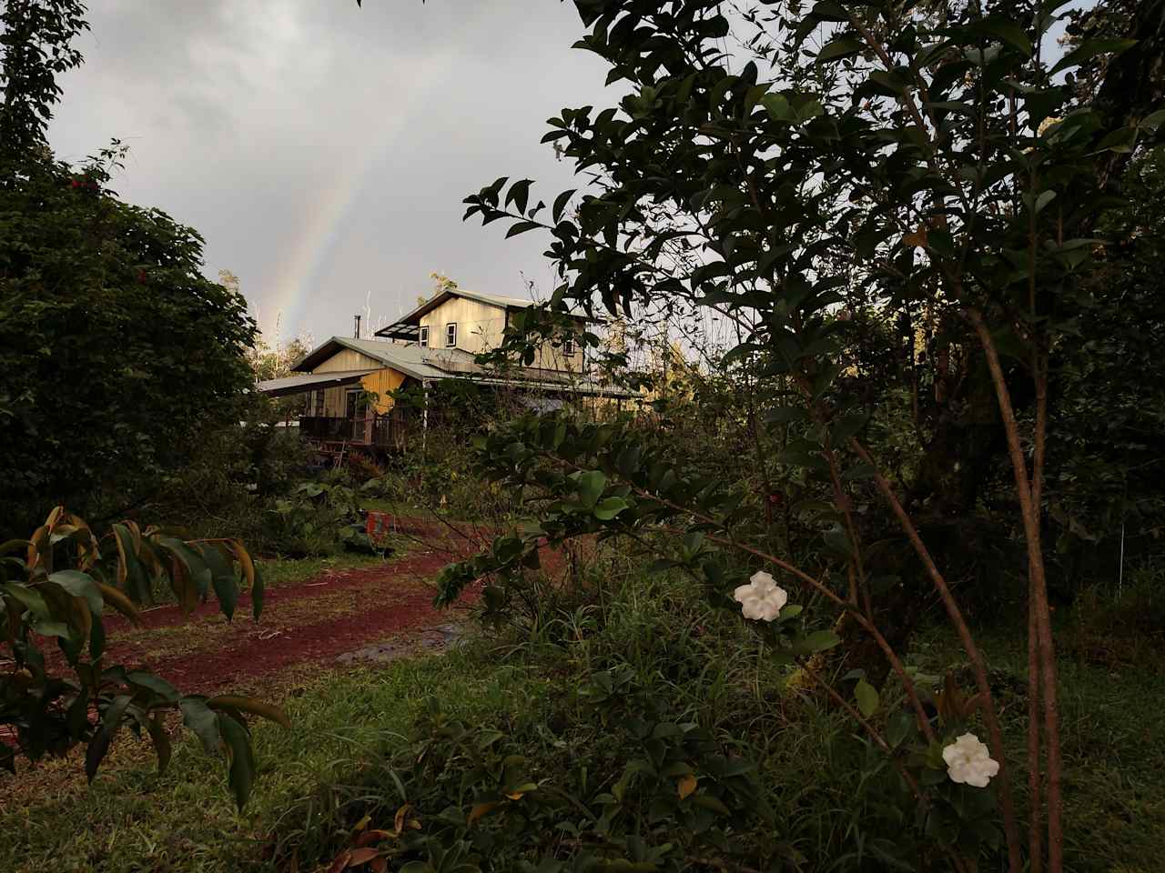 Faris' Farm