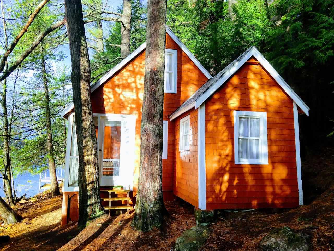 Sunlit Cabin 1 by stream