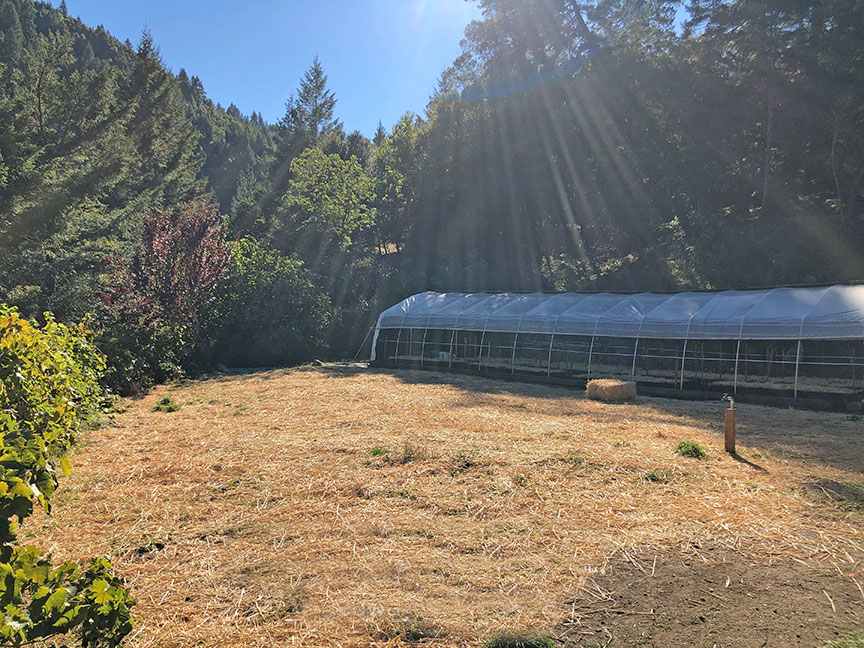 This is the campsite... a variety of flat areas to pitch a tent or pull in an RV.
NOTE: greenhouse is no longer there.