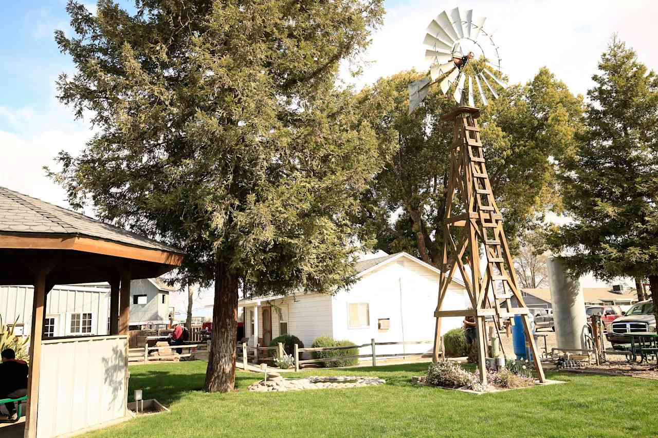 Cowboy Land & Livestock