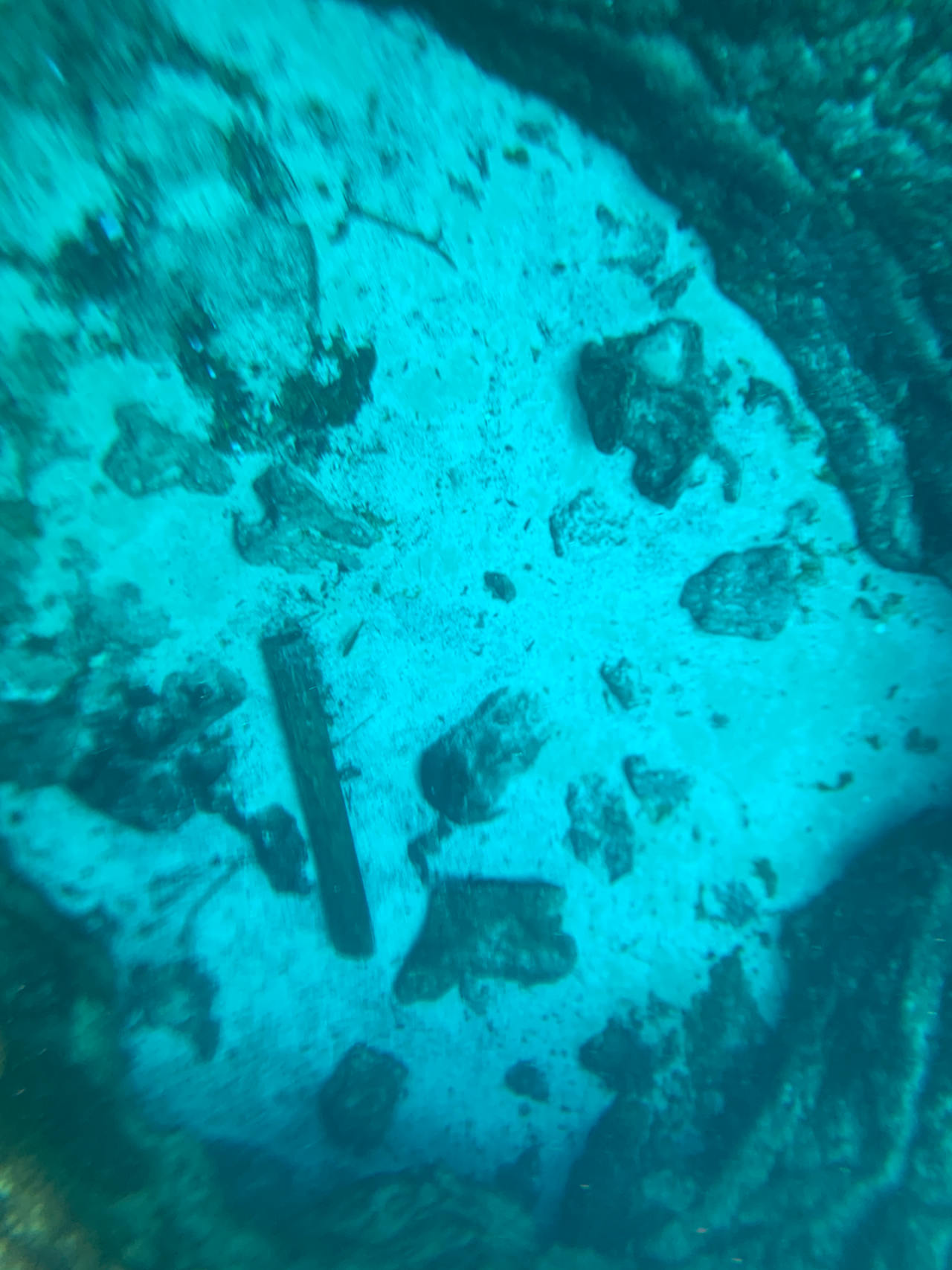 About an hour away is Ginnie Springs on Sante Fe River.
