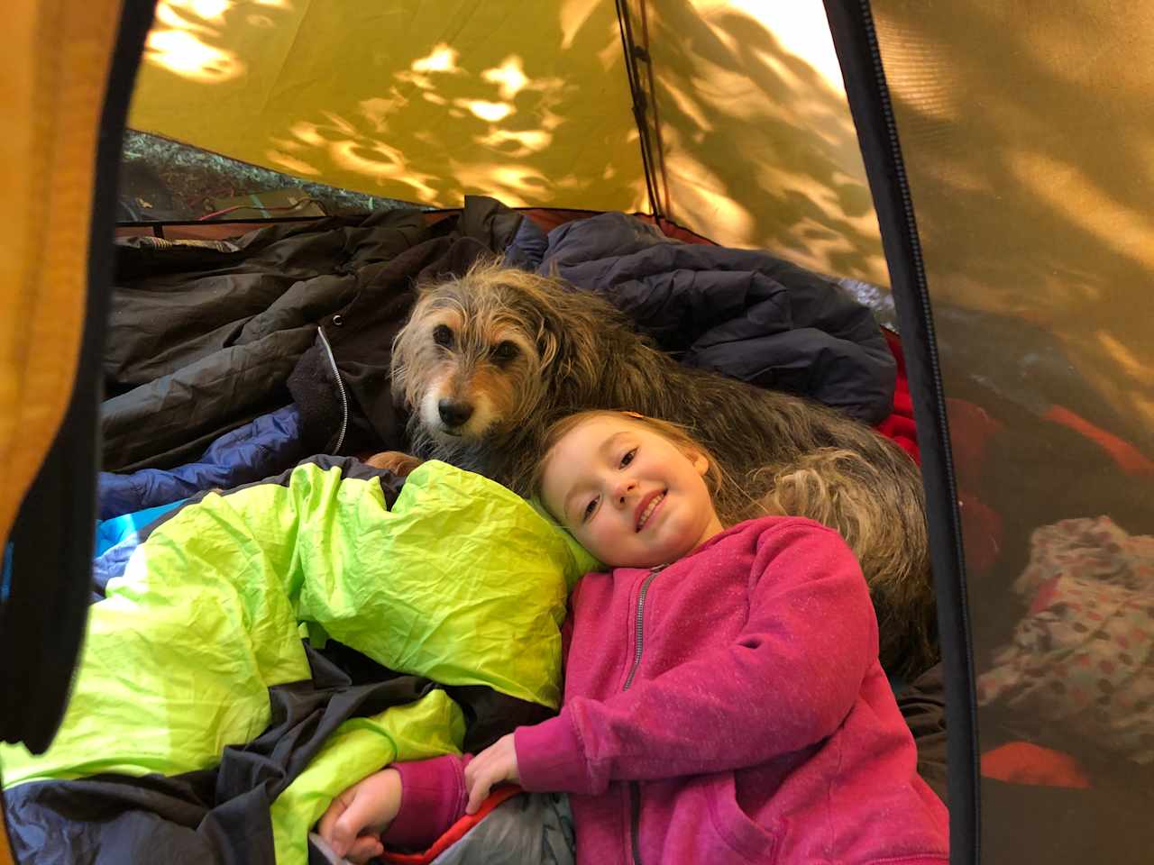 We all had great nights’ sleep with no outside noise or any type of highway noise. A little bit of wildlife noise out there but great. That’s what we came for. We heard a distant neighbor’s Dog treeing a big cat. Store your food away from the site or in car. 