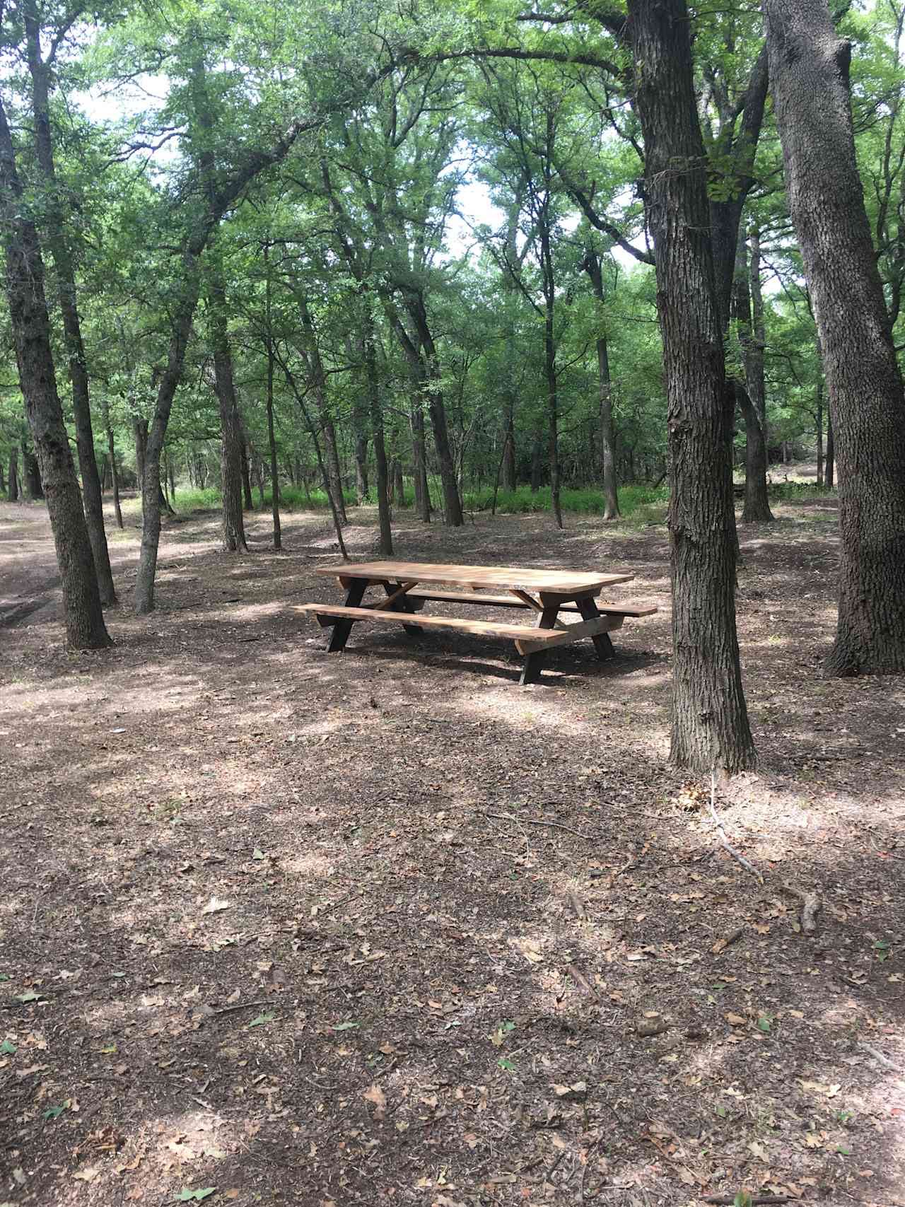 One of the many picnic and camp sites within Inez Spring Riverfront Park.