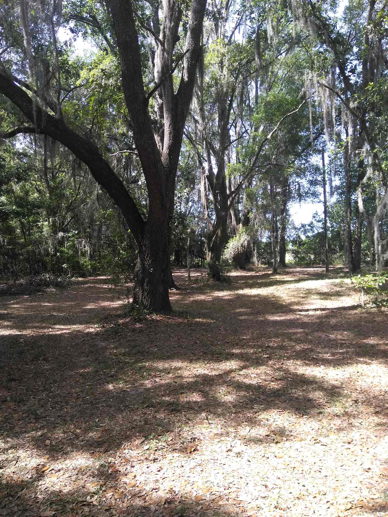 Rustic camping area near the picnic and campfire 