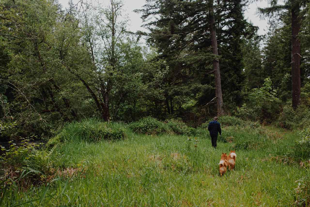 This is a short walk back to the kitchen and showers. 